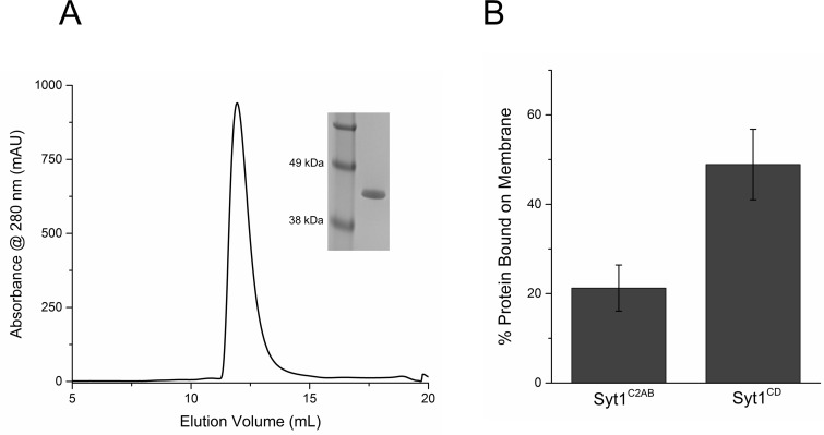 Figure 2—figure supplement 1.