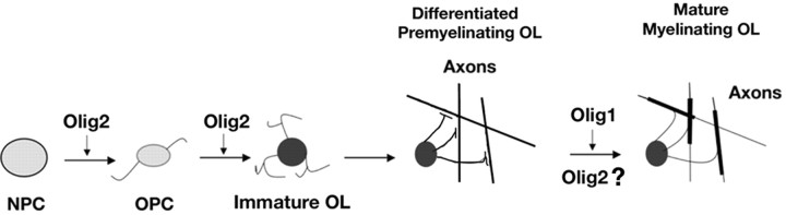 
Figure 9.
