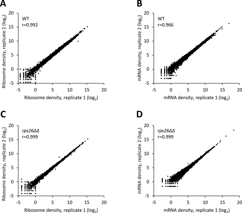 Figure 5—figure supplement 1.