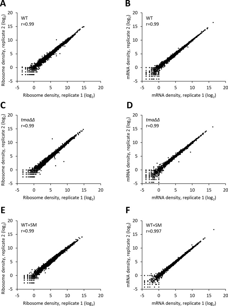 Figure 1—figure supplement 1.