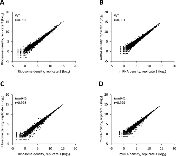 Figure 3—figure supplement 1.