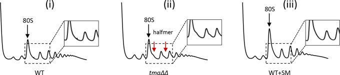 Figure 1—figure supplement 2.