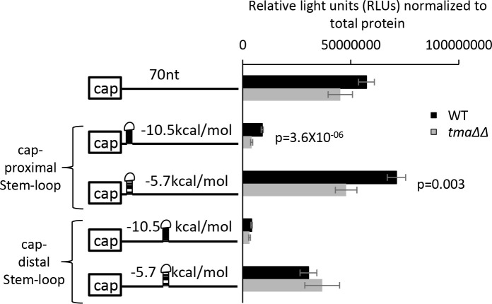 Figure 6—figure supplement 2.