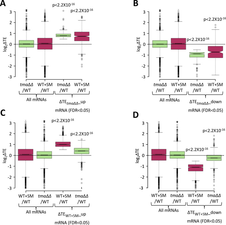 Figure 4—figure supplement 2.