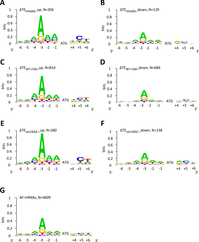 Figure 2—figure supplement 1.