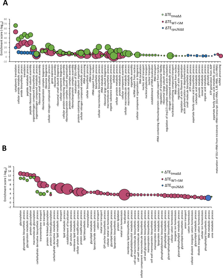 Figure 4—figure supplement 3.