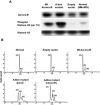 FIG. 7.