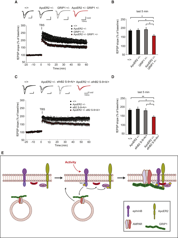 Figure 7