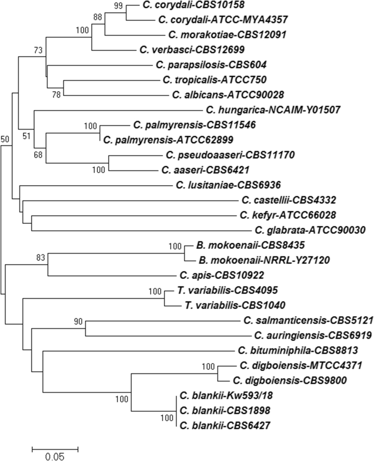 Fig. 4