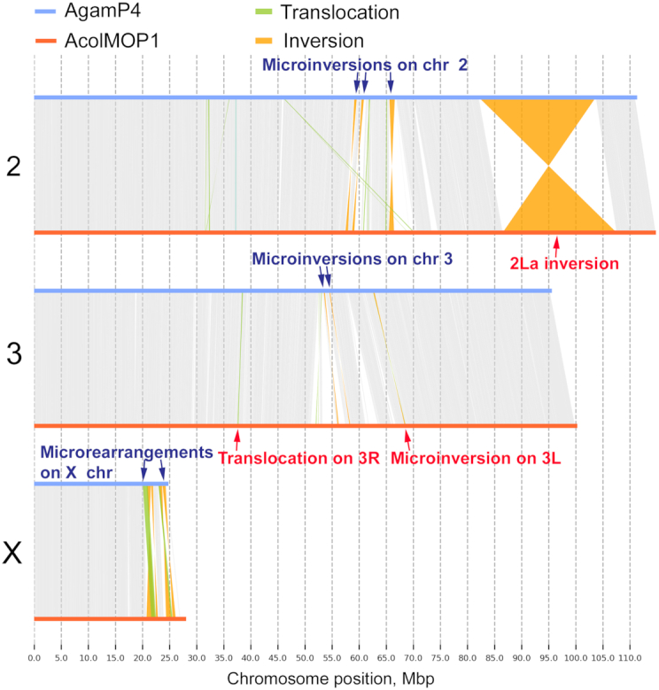 Figure 4: