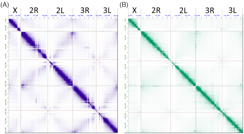 Figure 2: