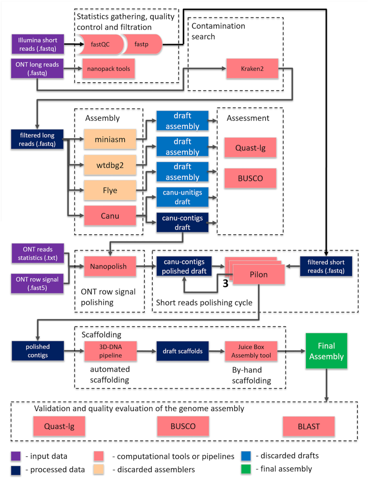 Figure 5: