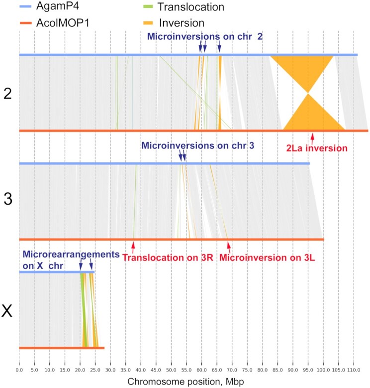 Figure 4: