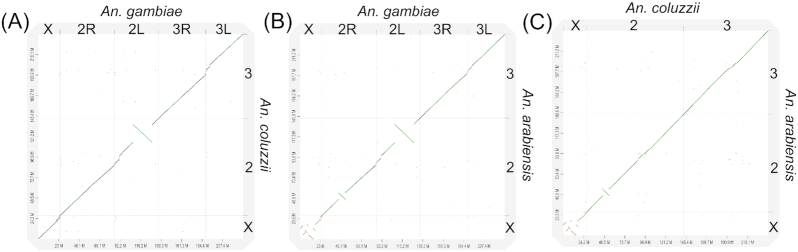 Figure 3: