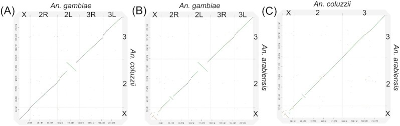 Figure 3: