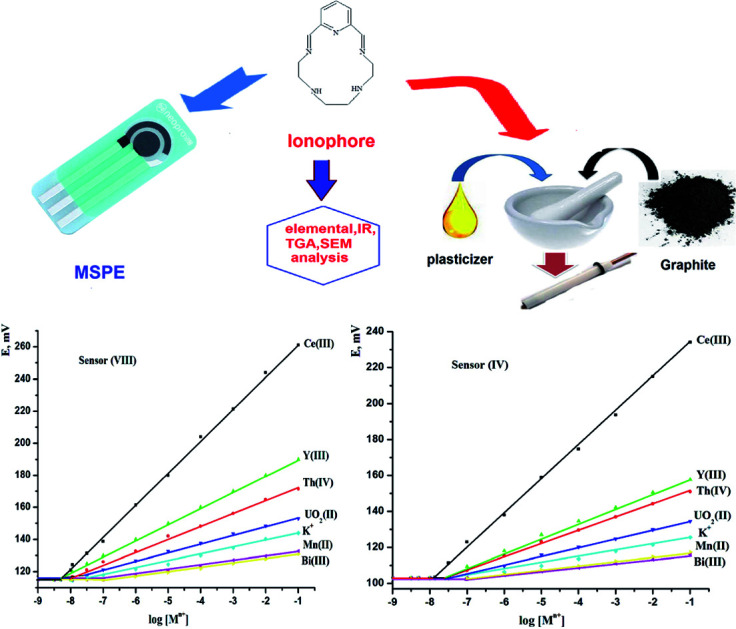 graphic file with name d1ra08337f-ga.jpg