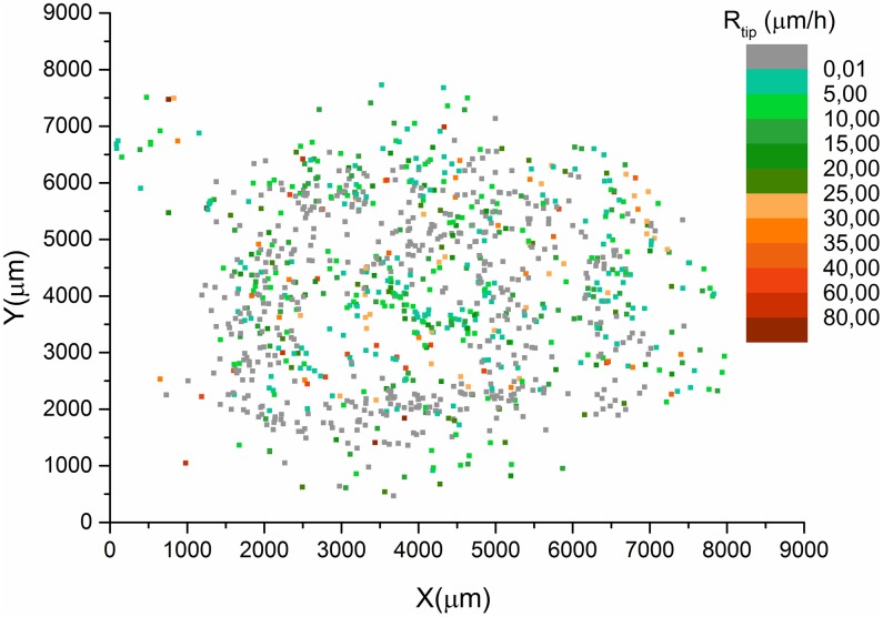 Fig 4