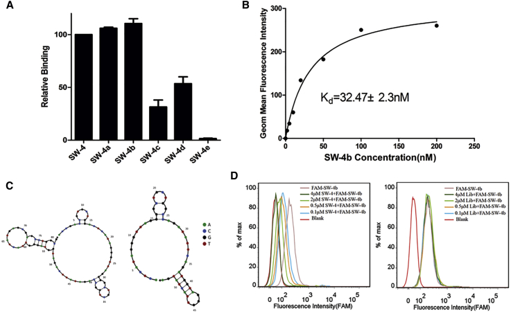 Figure 3