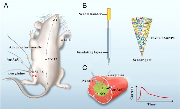 Figure 11