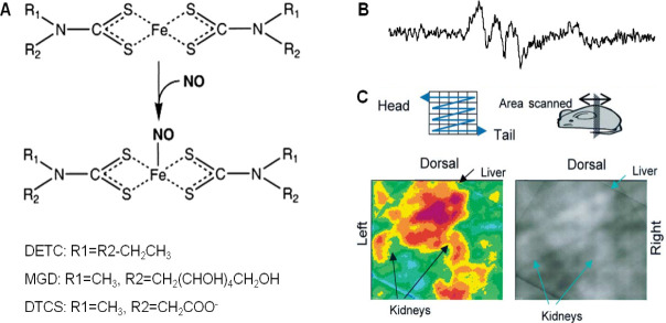 Figure 12