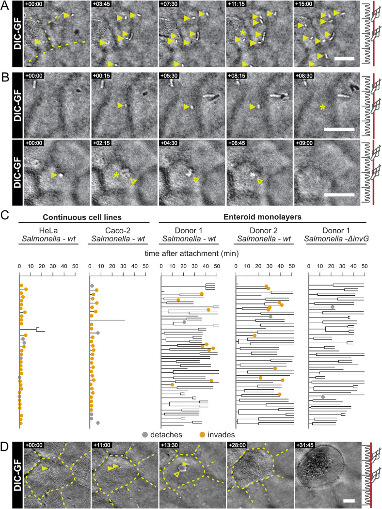 FIG 3