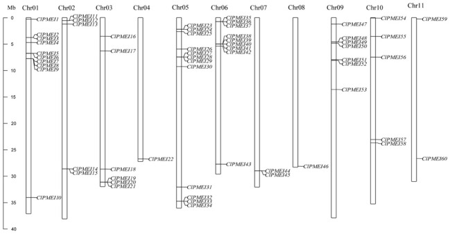 Figure 1