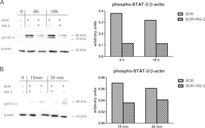 FIG 3