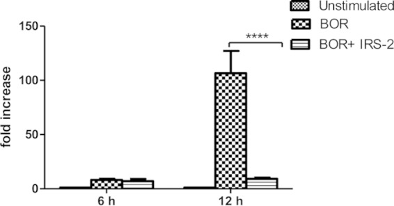 FIG 2