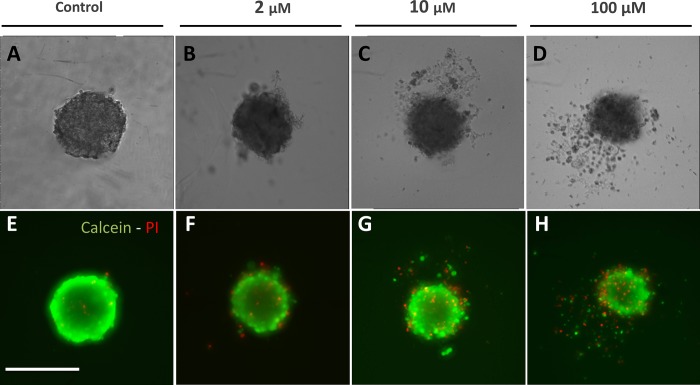 Fig 3