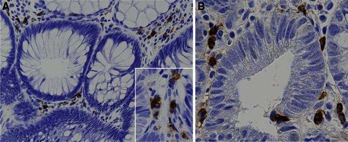 Fig. 5