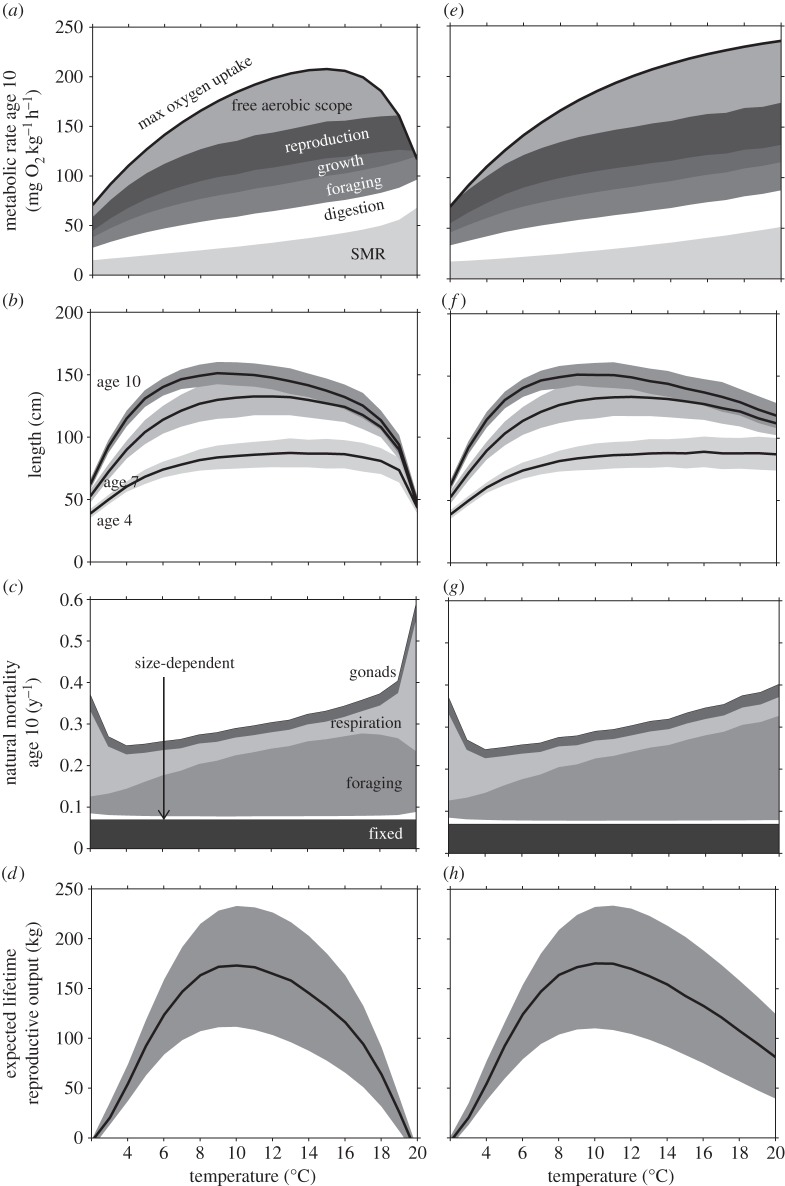 Figure 2.