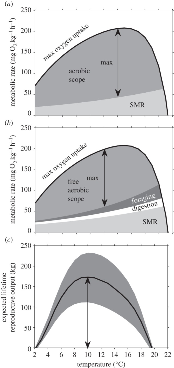 Figure 1.