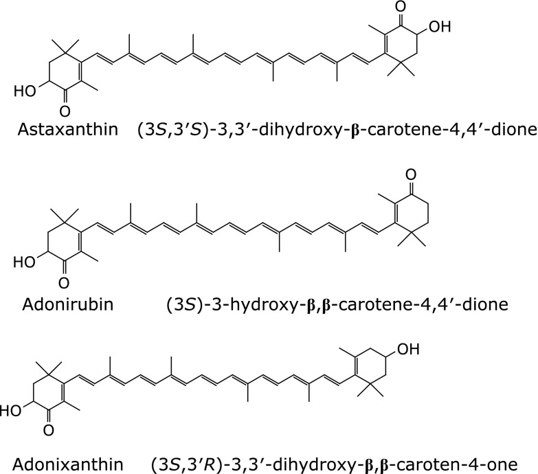 Fig. 2