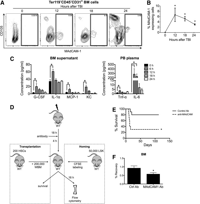 FIG. 4.