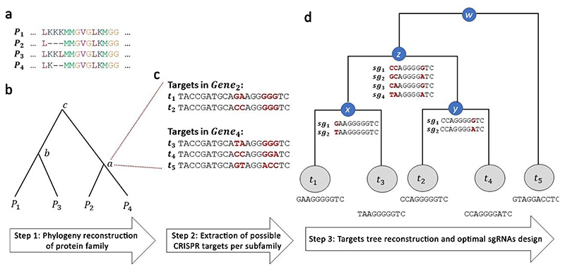 Fig. 2