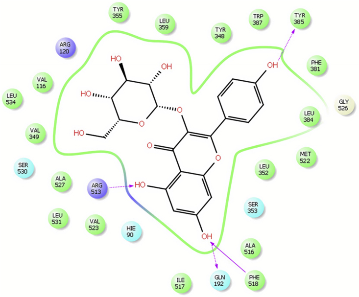 Figure 6