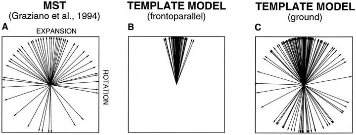 Fig. 12.