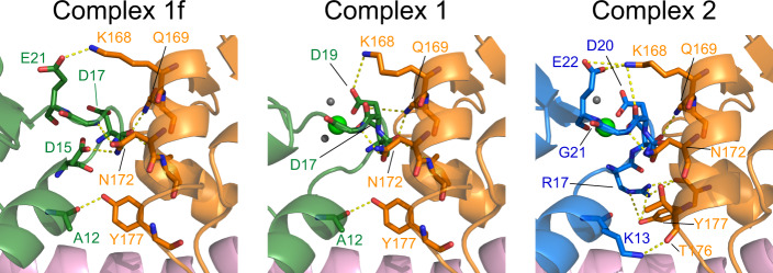 Fig. 7