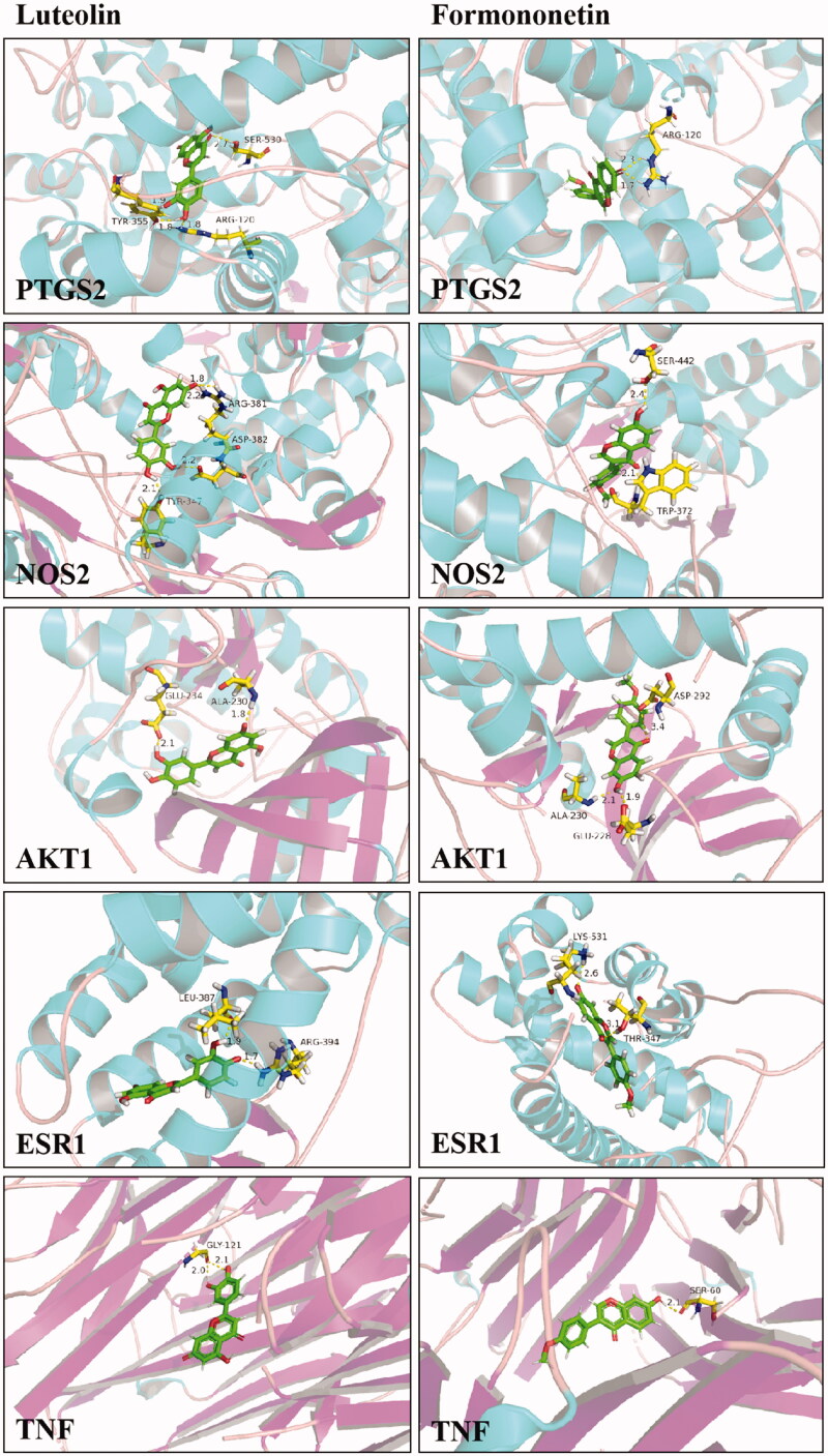 Figure 10.