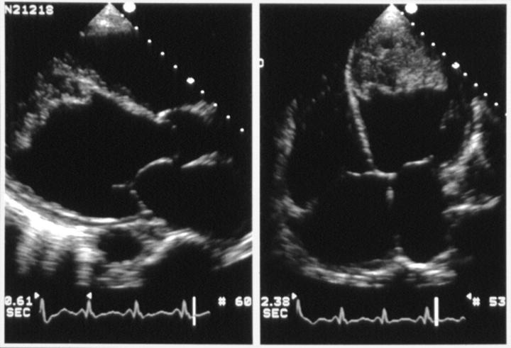 Figure 1  