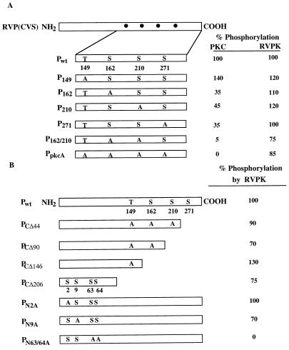 FIG. 6