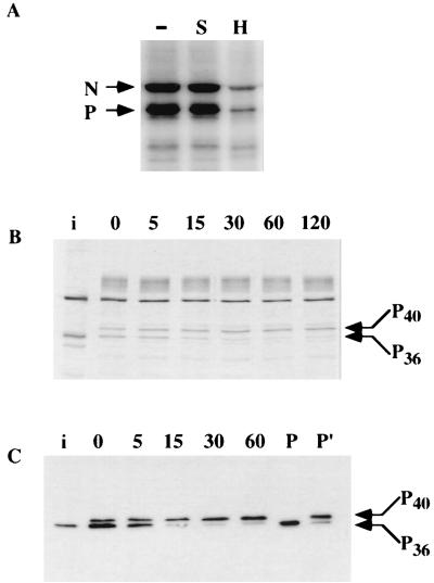 FIG. 5