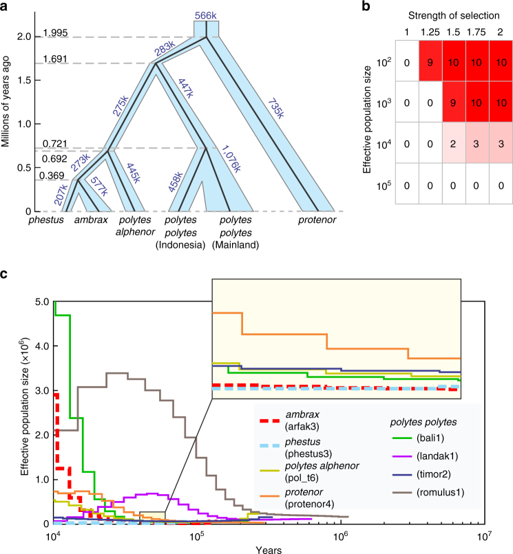 Fig. 3