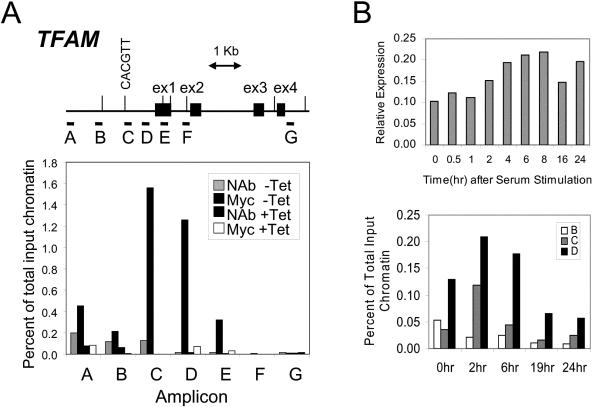 FIG. 6.