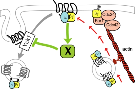 Figure 11.