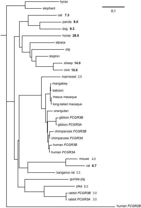 Figure 3