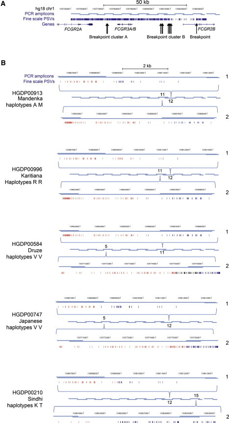 Figure 2