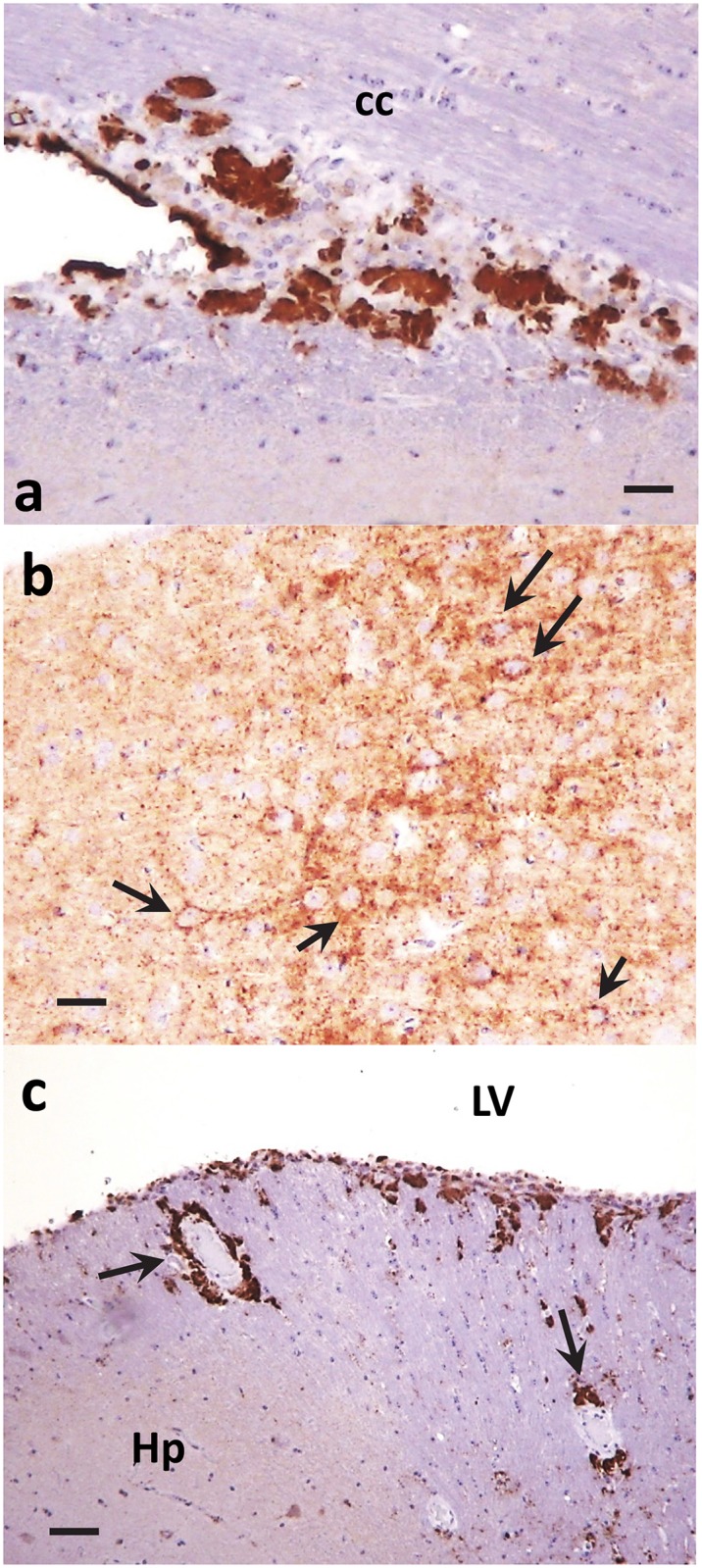 Fig 5