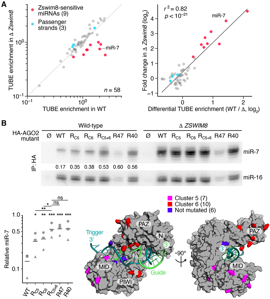 Fig. 7.