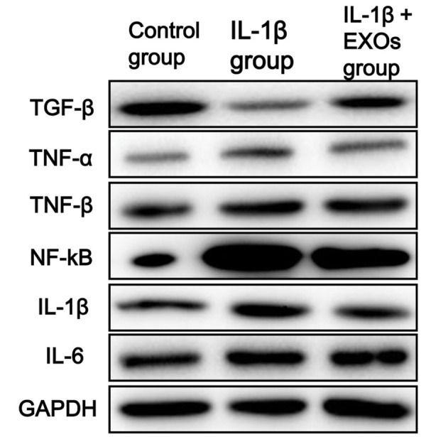 Fig.4